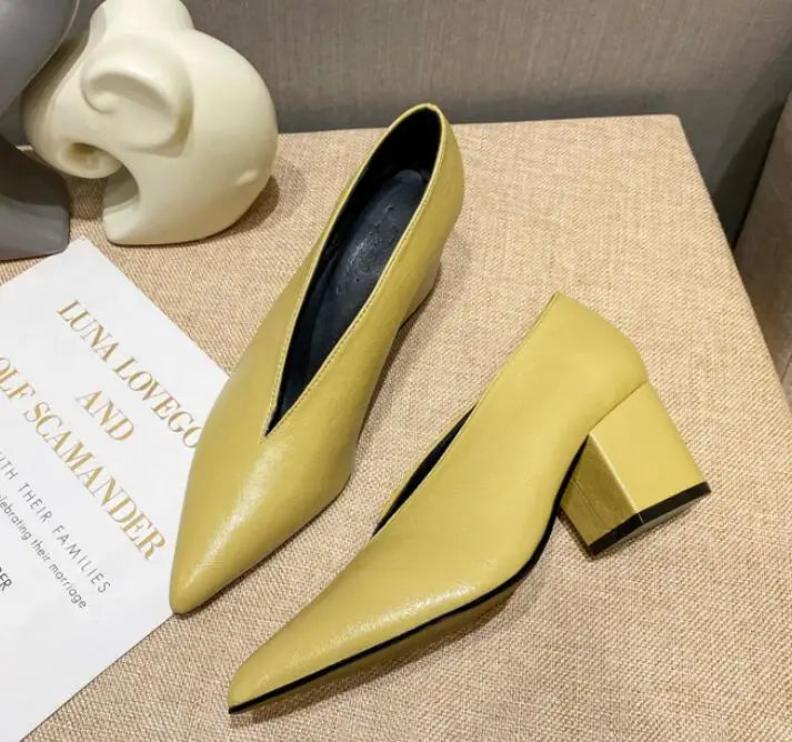 Pointed Toe Leather  V Cut Pump Kitten Heel or Chunky Heel Shoes
