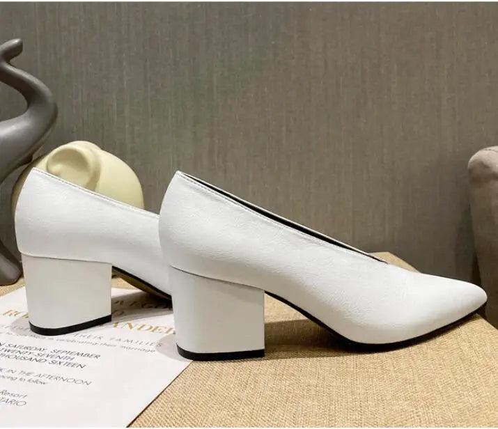 Pointed Toe Leather  V Cut Pump Kitten Heel or Chunky Heel Shoes