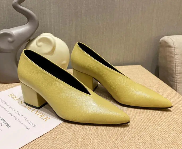 Pointed Toe Leather  V Cut Pump Kitten Heel or Chunky Heel Shoes