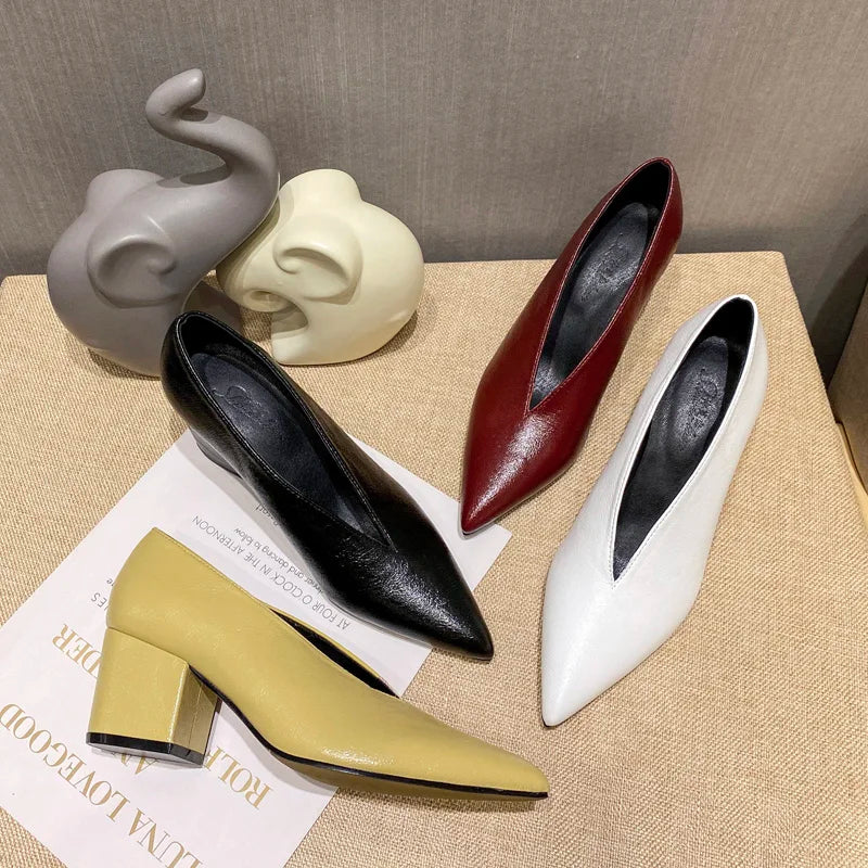 Pointed Toe Leather  V Cut Pump Kitten Heel or Chunky Heel Shoes