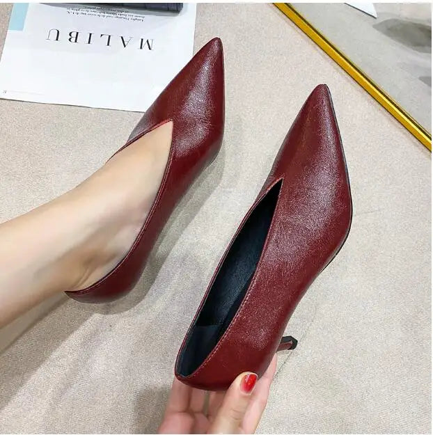 Pointed Toe Leather  V Cut Pump Kitten Heel or Chunky Heel Shoes