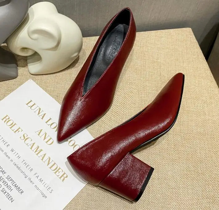 Pointed Toe Leather  V Cut Pump Kitten Heel or Chunky Heel Shoes