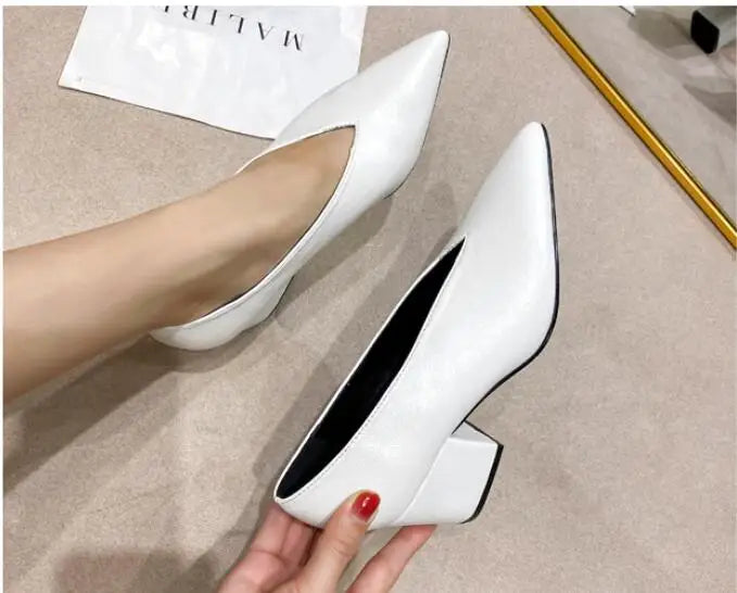 Pointed Toe Leather  V Cut Pump Kitten Heel or Chunky Heel Shoes