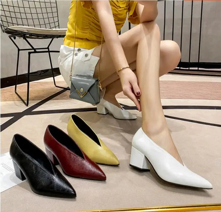 Pointed Toe Leather  V Cut Pump Kitten Heel or Chunky Heel Shoes