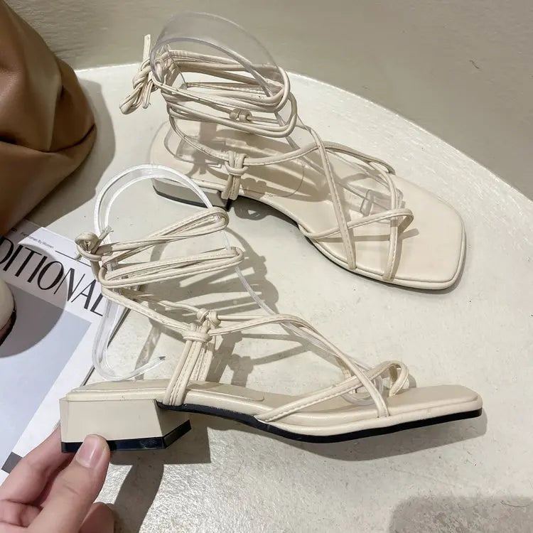 44959482740981|44959482806517|44959482839285|44959483035893|44959483068661|44959483101429