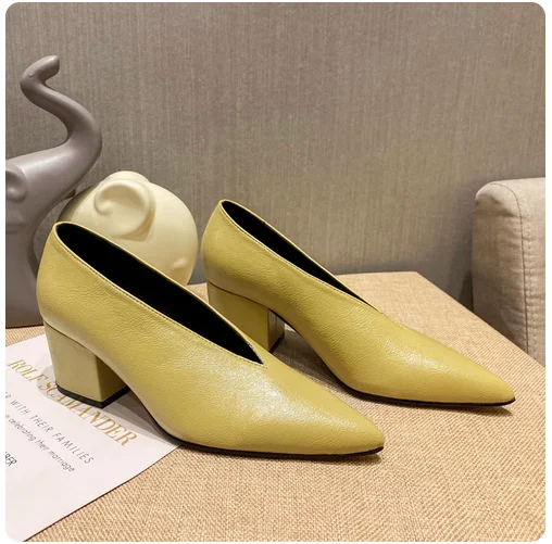 Pointed Toe Leather  V Cut Pump Kitten Heel or Chunky Heel Shoes