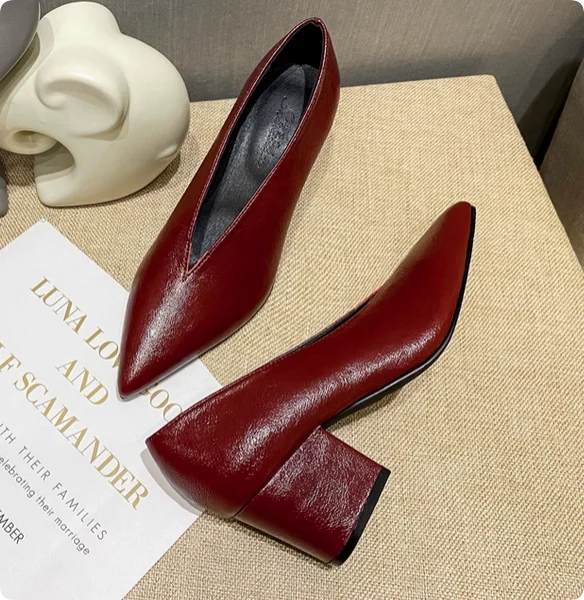 Pointed Toe Leather  V Cut Pump Kitten Heel or Chunky Heel Shoes