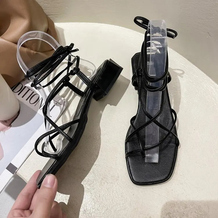 44959482773749|44959482872053|44959482904821|44959482937589|44959482970357|44959483003125