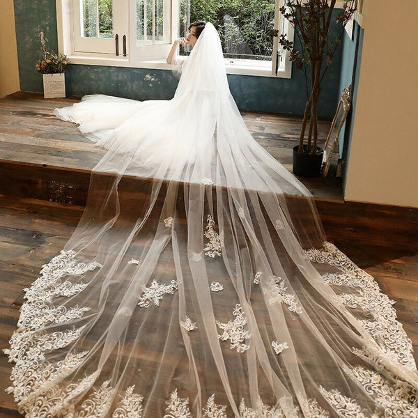2Tier Appliques Wedding Veil With Face Cover Bridal Veils Cathedral Length Two Layer