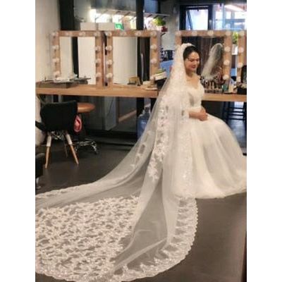 Sparkling Sequins Cathedral Bridal Veils Lace Edge 1 Layer With Metal Comb 3M 4M 5M Long - Frimunt Clothing Co.